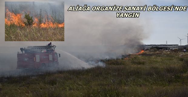 Aliağa Organize Sanayi Bölgesi'nde Yangın