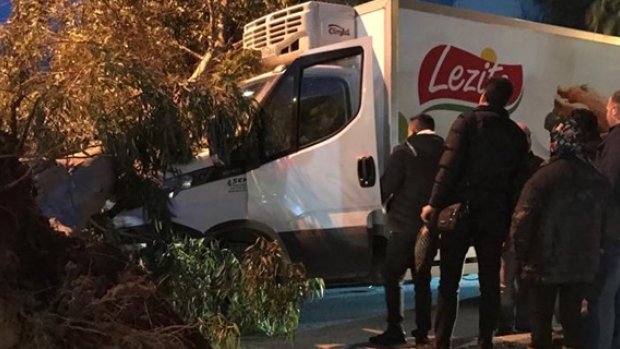İzmir'de  Ağaç Trafikteki Arabanın Üzerine Devirdi